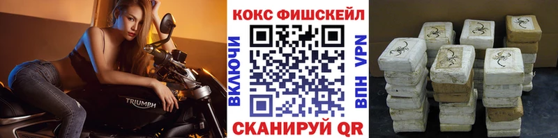 Cocaine FishScale  дарнет шоп  Благодарный 