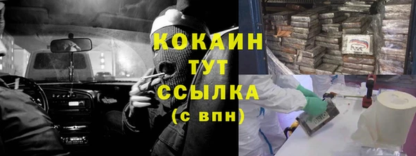 эйфоретик Белокуриха