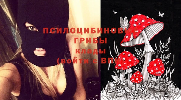 молекула духа Беломорск