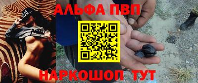 стаф Аргун
