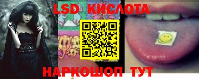 стаф Аргун