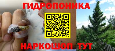 стаф Аргун
