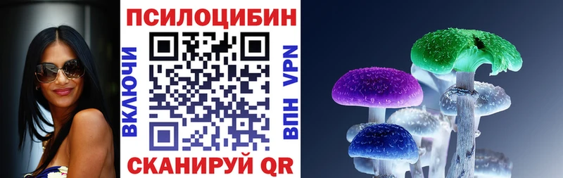 Псилоцибиновые грибы ЛСД  гидра маркетплейс  Благодарный 