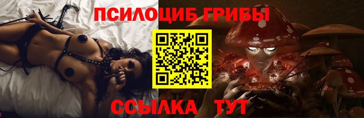 Псилоцибиновые грибы Psilocybine cubensis  Галлюциногенные грибы Magic Shrooms  Благодарный 