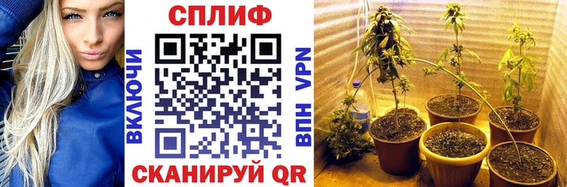 Бошки марихуана THC 21%  Благодарный 